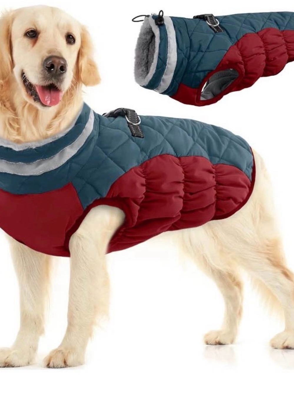 Dog Quilted Winter Coat - Blue and Red